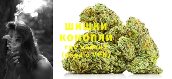 шишки Володарск