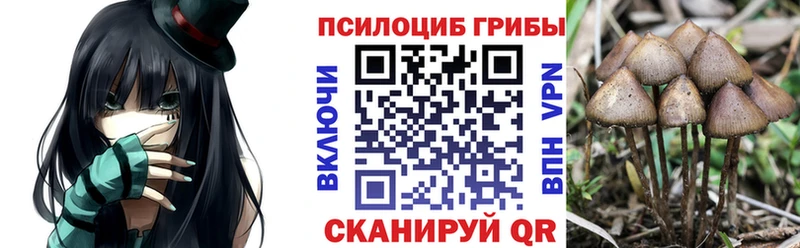 Галлюциногенные грибы Psilocybe  закладки  Дудинка 